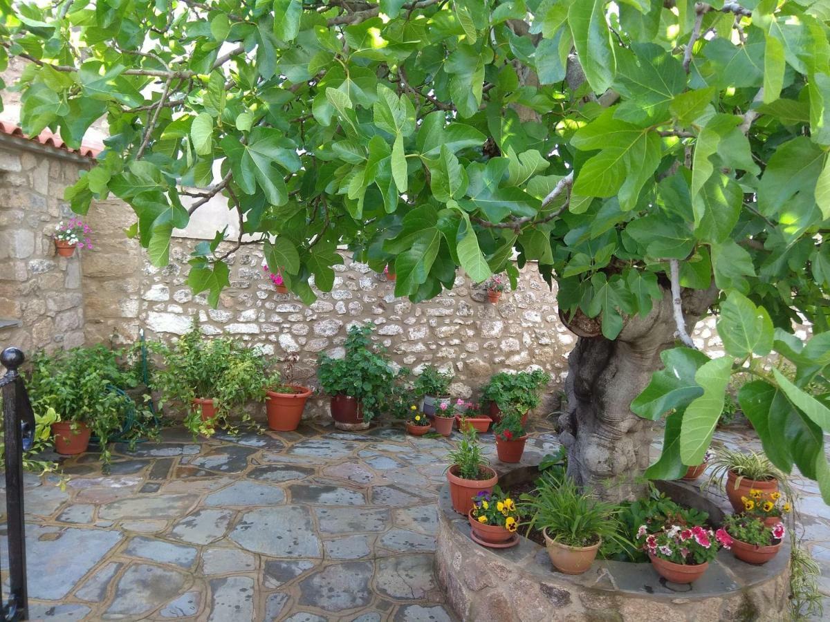 Apartamentos Rurales Tía María Mata de Alcántara Exterior foto